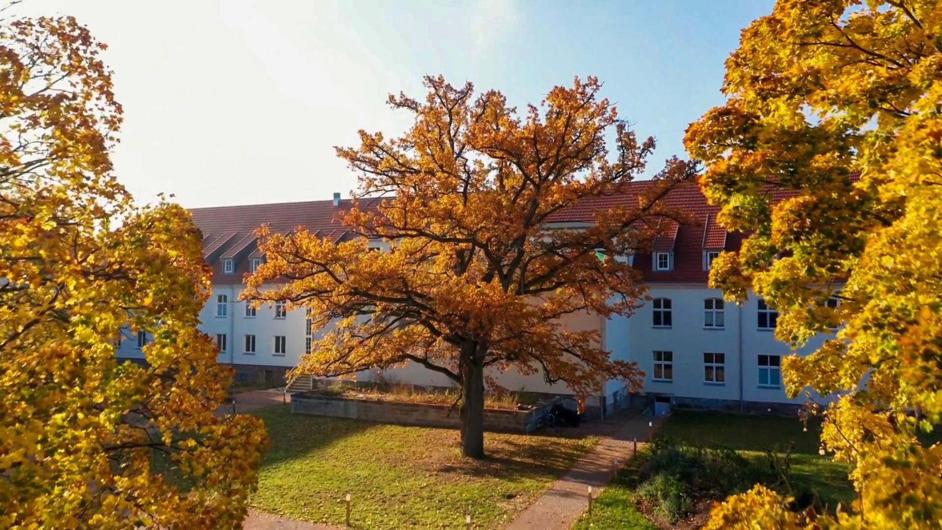 Parkresidenz Lychen, 9 * Lychen